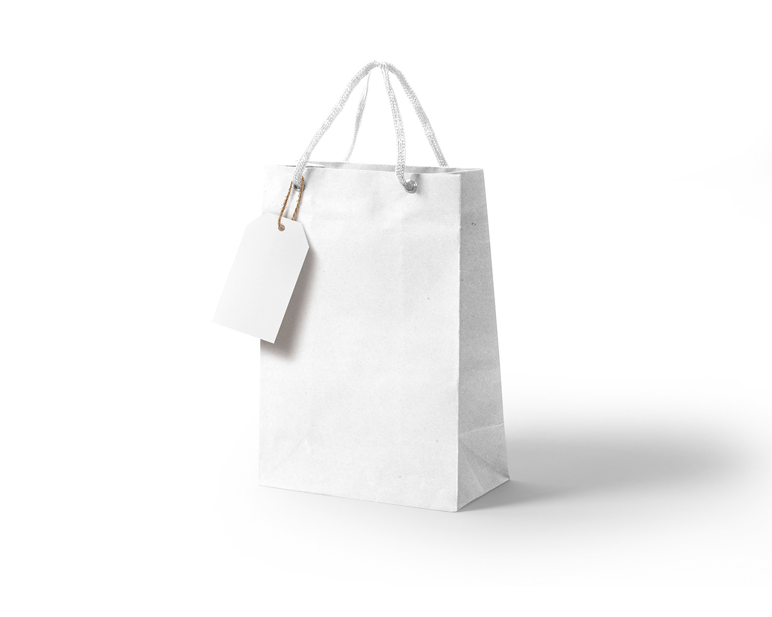 Free-Kraft-Paper-Gift-Bag-Mockup 0