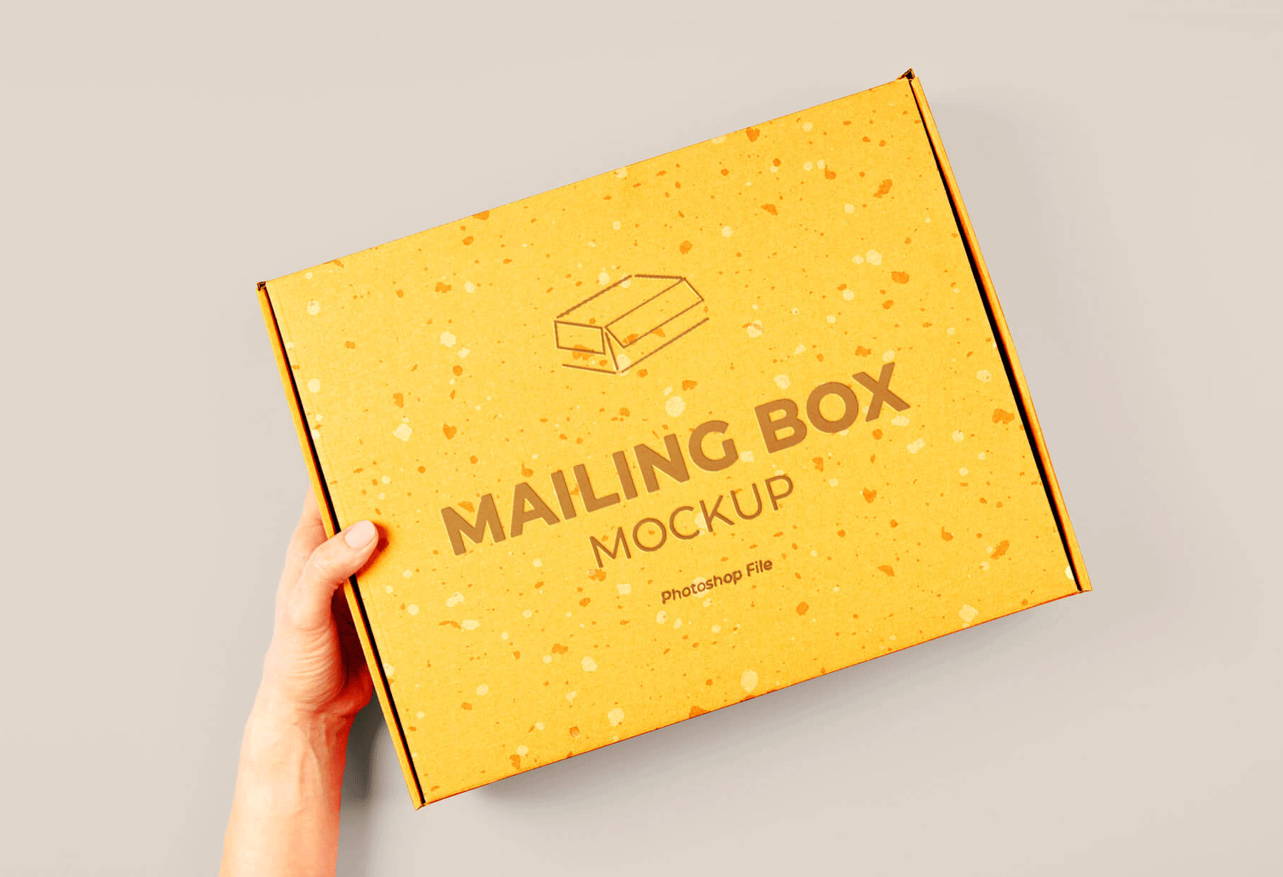 Mailing Box Mockup PSD